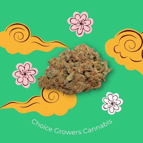 Choice Growers Cannabis Premium Products